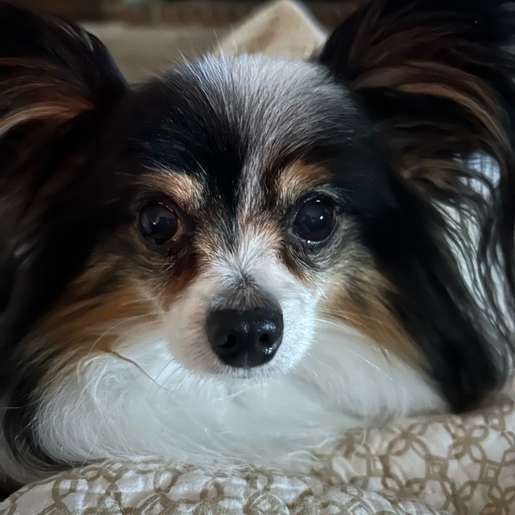 Meet your Posher, Nancy - Picture 6 of 6